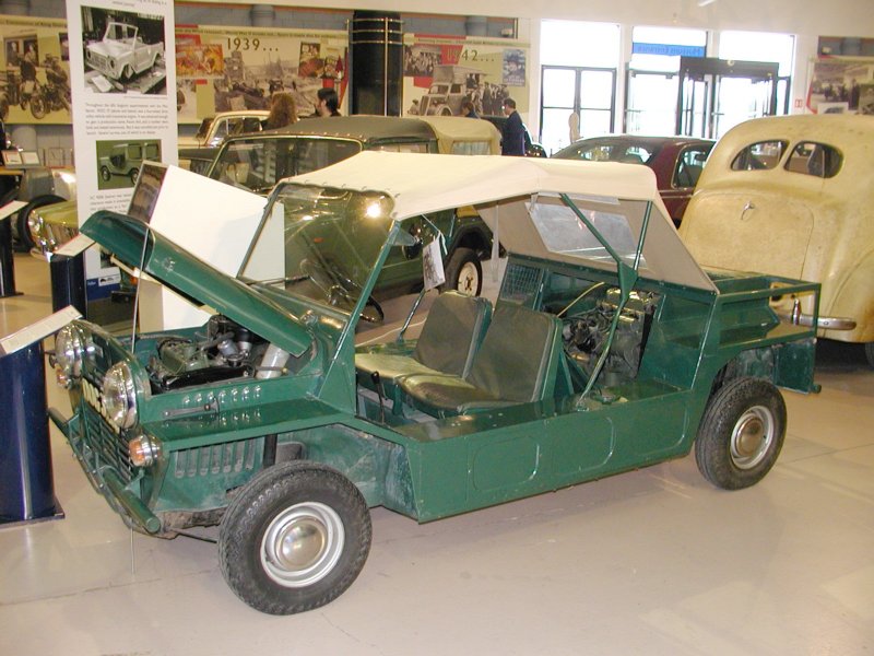 Trimini